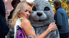 Blonde Big-tits Playboy Celebrity Model Pamela Anderson - N